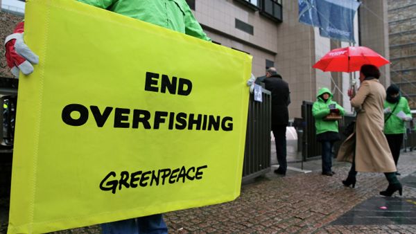 EU fisheries ministers must put a stop to overfishing by following recommendations by scientists to lower fishing quotas EU fisheries ministers must put a stop to overfishing by following recommendations by scientists to lower fishing quotas - Sputnik International