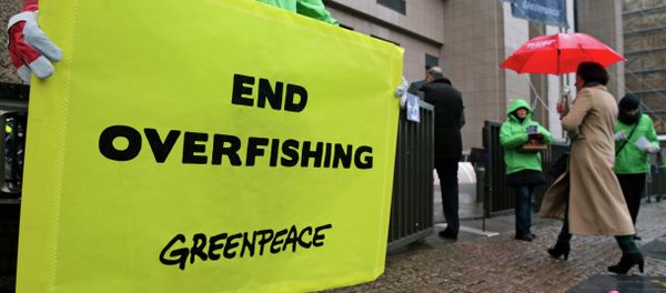 EU fisheries ministers must put a stop to overfishing by following recommendations by scientists to lower fishing quotas - Sputnik International