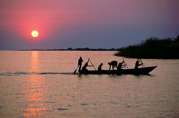 Crocodile Kills Woman While Her Mother Witnesses Deadly Attack Crocodile Kills Woman While Her Mother Witnesses Deadly Attack - Sputnik International