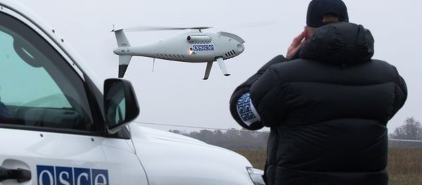 The Organization for Security and Co-operation in Europe (OSCE) could play a greater role in strengthening European security. The Organization for Security and Co-operation in Europe (OSCE) could play a greater role in strengthening European security. - Sputnik International