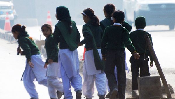 Pakistani police have arrested at least four people, including a woman, who are suspected of carrying out a brutal terror attack on a school in Peshawar where more than 140 people were killed earlier this week Pakistani police have arrested at least four people, including a woman, who are suspected of carrying out a brutal terror attack on a school in Peshawar where more than 140 people were killed earlier this week - Sputnik International