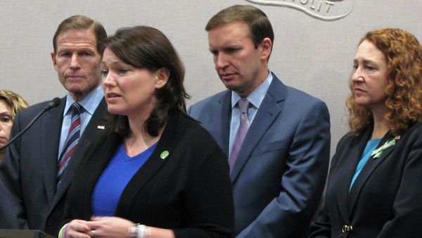 Nicole Hockley, whose 6-year-old Dylan died in the Sandy Hook Elementary School shootings in 2012, speaks at a news conference Monday, Dec. 15, 2014, in Hartford, Conn., marking the second anniversary of the shooting and calling for more legislation to curb gun violence. Nicole Hockley, whose 6-year-old Dylan died in the Sandy Hook Elementary School shootings in 2012, speaks at a news conference Monday, Dec. 15, 2014, in Hartford, Conn., marking the second anniversary of the shooting and calling for more legislation to curb gun violence. - Sputnik International