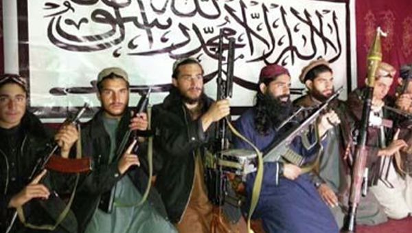 This photo released in a statement by the Pakistani Taliban on Wednesday, Dec. 17, 2014 shows the Taliban fighters who stormed a military-run school in Peshawar, Pakistan on Tuesday, killing more than 140 people, most of them children. - Sputnik International