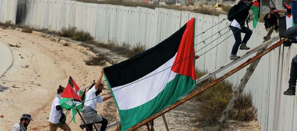 A EU resolution, passed on Wednesday, recognizing the state of Palestine in principle changes nothing, Barry Williams of the Irish4Israel movement told Sputnik. - Sputnik International