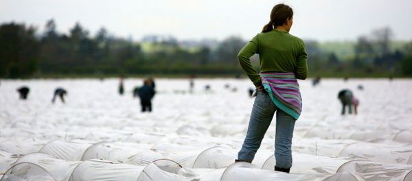 Migrants entering the UK rose nearly by four times since 2011, with nearly 3000 people a months trying to enter the country in search for better life, according to Telegraph. Migrants entering the UK rose nearly by four times since 2011, with nearly 3000 people a months trying to enter the country in search for better life, according to Telegraph. - Sputnik International