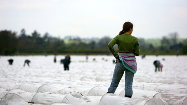 Migrants entering the UK rose nearly by four times since 2011, with nearly 3000 people a months trying to enter the country in search for better life, according to Telegraph. Migrants entering the UK rose nearly by four times since 2011, with nearly 3000 people a months trying to enter the country in search for better life, according to Telegraph. - Sputnik International
