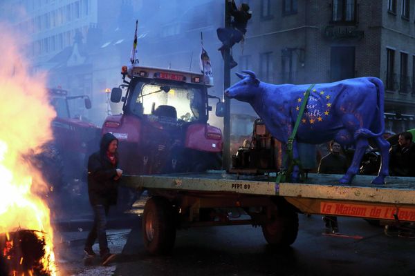 Merkel on Fire: European Farmers Protest in Brussels - Sputnik International