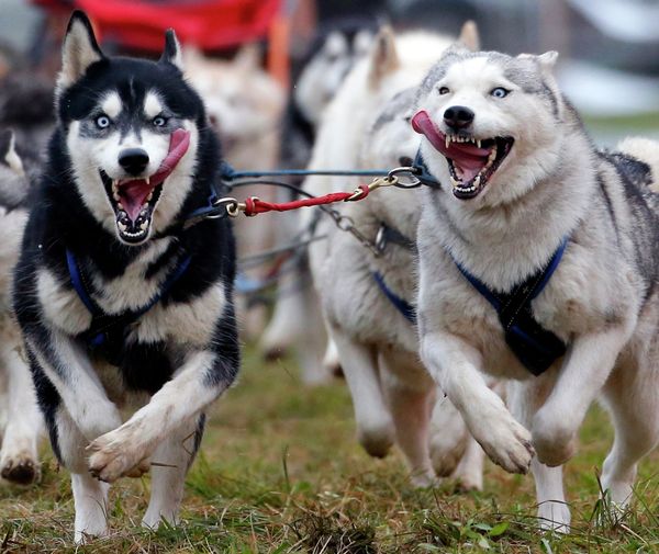 A Look Back at the Best Instagram Pictures of 2014 - Sputnik International
