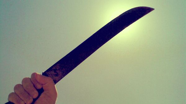 Machete - Sputnik International