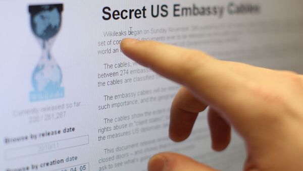 Internet users reading the international media project WikiLeaks Internet users reading the international media project WikiLeaks - Sputnik International