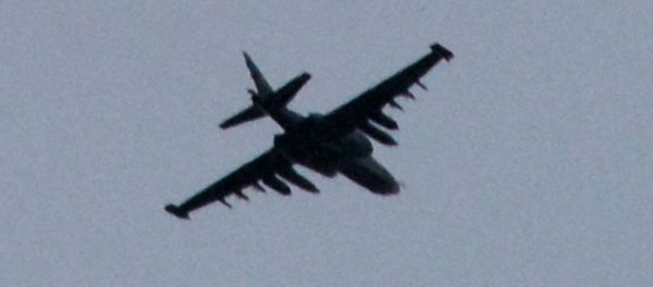 Russian investigators are interested in contacting the individual cited as a source in a newspaper article in regard to the Malaysian Airlines passenger jet that was downed over eastern Ukraine Russian investigators are interested in contacting the individual cited as a source in a newspaper article in regard to the Malaysian Airlines passenger jet that was downed over eastern Ukraine - Sputnik International