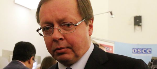 Andrey Kelin - Sputnik International