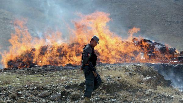 An Afghan police soldier walks past opium and narcotics set on fire during a drug burning ceremony on the outskirts of Kabul, Afghanistan, Wednesday, Oct. 29, 2014 - Sputnik International