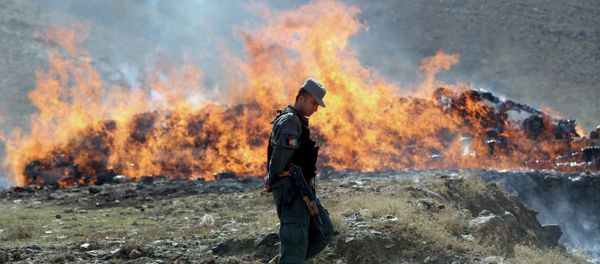 An Afghan police soldier walks past opium and narcotics set on fire during a drug burning ceremony on the outskirts of Kabul, Afghanistan, Wednesday, Oct. 29, 2014 - Sputnik International