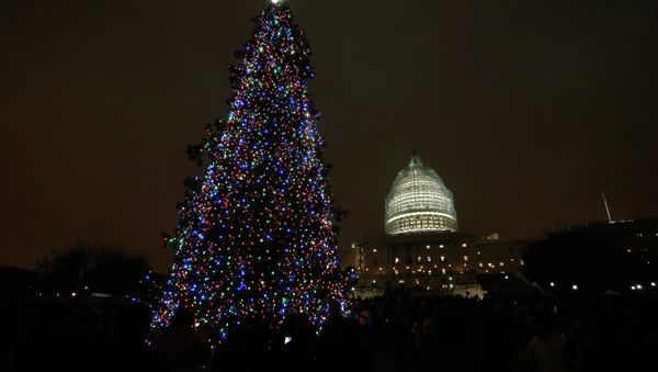 It's a Christmas Miracle! US Congress has quickly and quietly passed a series of dangerous laws in time for the holiday season - Sputnik International