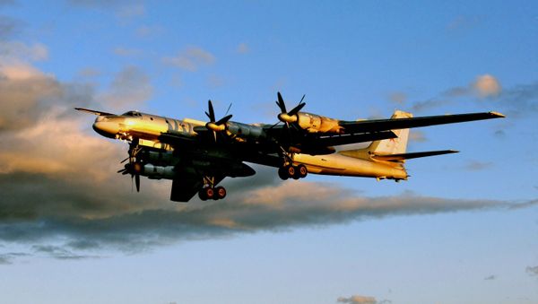 Tu-95MS strategic bomber Tu-95MS strategic bomber - Sputnik International