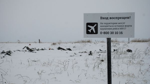 Crash site of the Malaysian Boeing 777 in the village of Grabovo near Shakhtarsk, Donetsk Region Crash site of the Malaysian Boeing 777 in the village of Grabovo near Shakhtarsk, Donetsk Region - Sputnik International