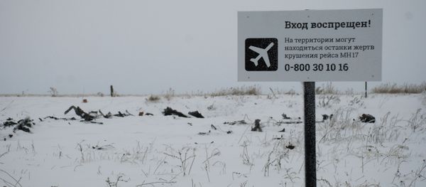 Crash site of the Malaysian Boeing 777 in the village of Grabovo near Shakhtarsk, Donetsk Region Crash site of the Malaysian Boeing 777 in the village of Grabovo near Shakhtarsk, Donetsk Region - Sputnik International
