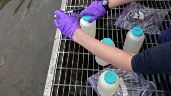 Water samples - Sputnik International