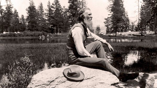 John Muir (1838-1914) Scottish-born American naturalist, engineer, writer and pioneer of conservation - Sputnik International