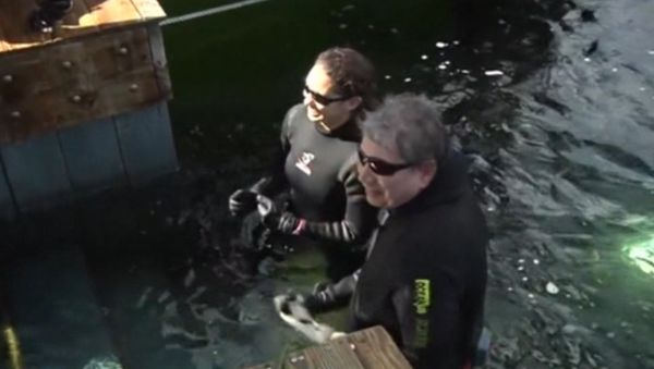 Two US Professors Spend 73 Days Underwater, Set New World Record Two US Professors Spend 73 Days Underwater, Set New World Record - Sputnik International