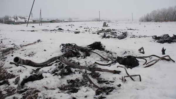 Crash site of the Malaysian Boeing 777 in the village of Grabovo near Shakhtarsk, Donetsk Region Crash site of the Malaysian Boeing 777 in the village of Grabovo near Shakhtarsk, Donetsk Region - Sputnik International