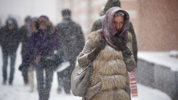 Snowfall in Moscow - Sputnik International