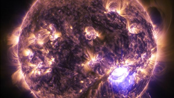 Flash on the Sun. December 19, 2014 - Sputnik International