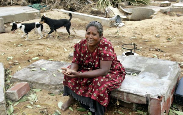 A Sri Lankan woman weeps as she sits on the only remaining part of her son's home which was destroyed and her son was killed in Sunday's tsunami - Sputnik International