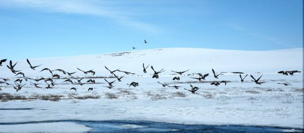 Alaska, US - Sputnik International