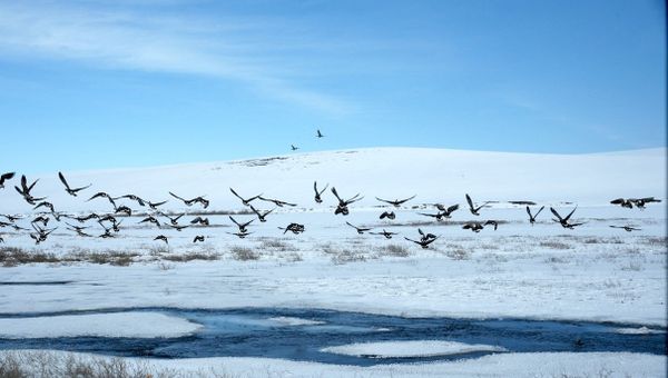 Alaska, US - Sputnik International