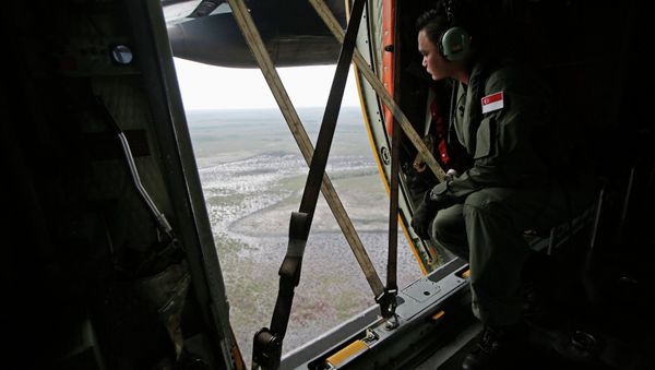 A Republic of Singapore Air Force personnel surveys the waters during a search and locate operation for the missing AirAsia flight QZ8501 plane at an undisclosed search area December 30, 2014 - Sputnik International