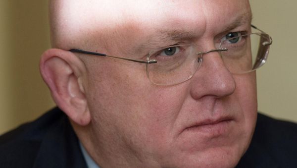Deputy Foreign Minister Vasily Nebenzya Deputy Foreign Minister Vasily Nebenzya - Sputnik International