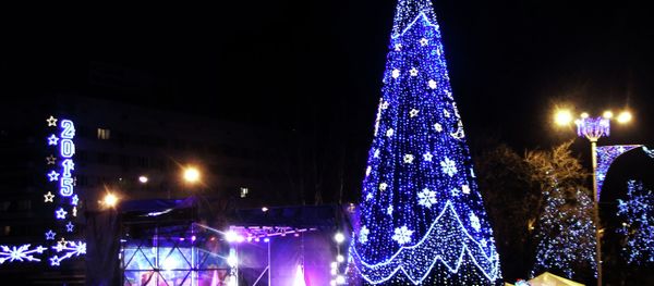 Local residents at the lighting up of the main Christmas tree of the Donetsk People's Republic on Lenin Square in Donetsk - Sputnik International