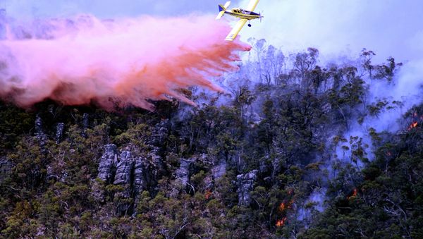 Wildfires in Australia - Sputnik International