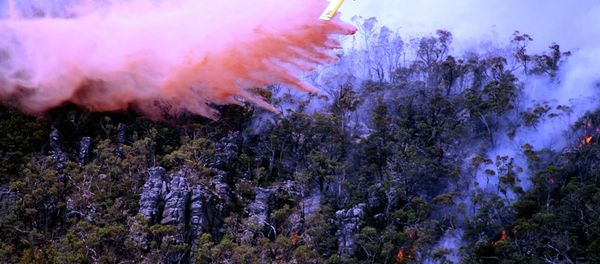 Australia wildfire Australia wildfire - Sputnik International