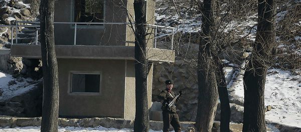 North Korean soldier North Korean soldier - Sputnik International