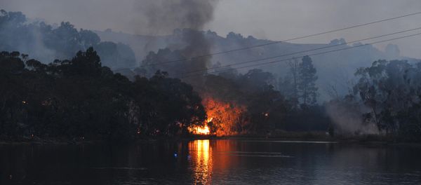 A bushfire burns through scrub - Sputnik International