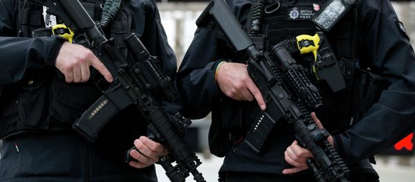British police British police - Sputnik International