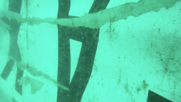 The part of the wreckage that BASARNAS identified as of the ill-fated AirAsia Flight 8501 is seen in the waters of the Java Sea, Indonesia The part of the wreckage that BASARNAS identified as of the ill-fated AirAsia Flight 8501 is seen in the waters of the Java Sea, Indonesia - Sputnik International