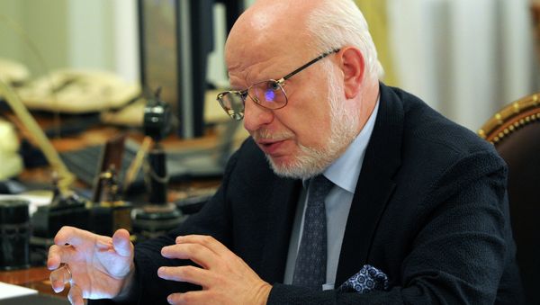 The presidential adviser Mikhail Fedotov, Chairman of the Presidential Council for Civil Society and Human Rights - Sputnik International