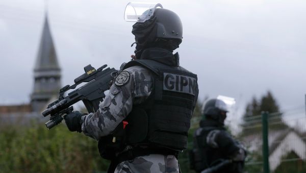Members of the French GIPN intervention police forces - Sputnik International