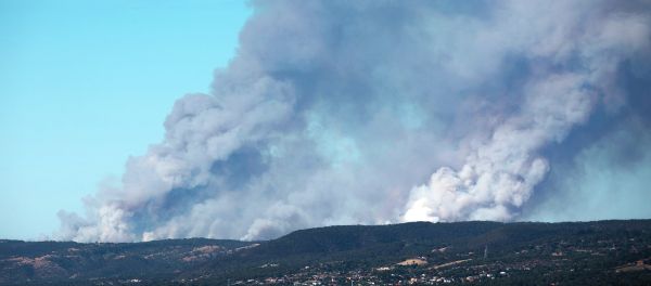 Fire in the Adelaide Hills in South Australia Fire in the Adelaide Hills in South Australia - Sputnik International