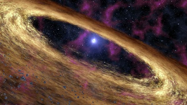 A pulsar - Sputnik International