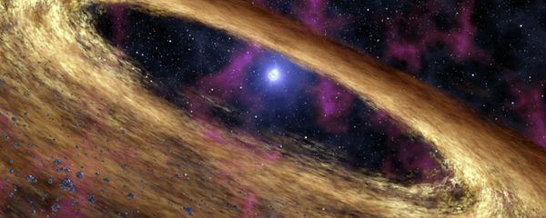 A pulsar A pulsar - Sputnik International