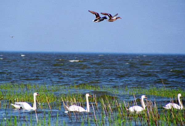 The Magic of Nature: Russia's National Parks in Pictures The Magic of Nature: Russia's National Parks in Pictures - Sputnik International
