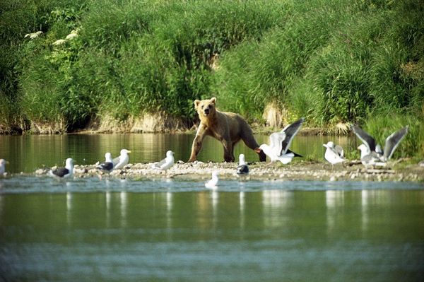 The Magic of Nature: Russia's National Parks in Pictures The Magic of Nature: Russia's National Parks in Pictures - Sputnik International