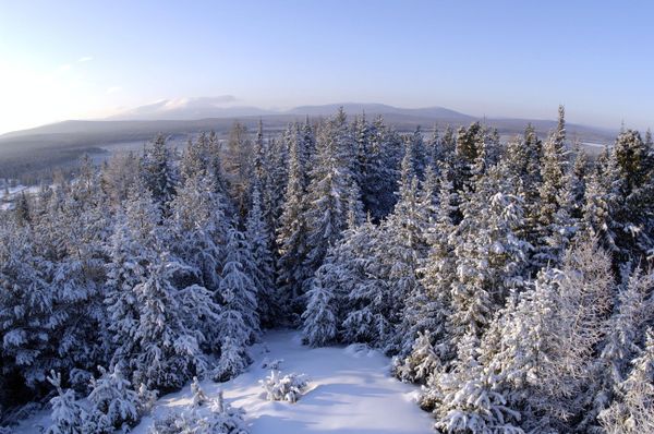 The Magic of Nature: Russia's National Parks in Pictures The Magic of Nature: Russia's National Parks in Pictures - Sputnik International