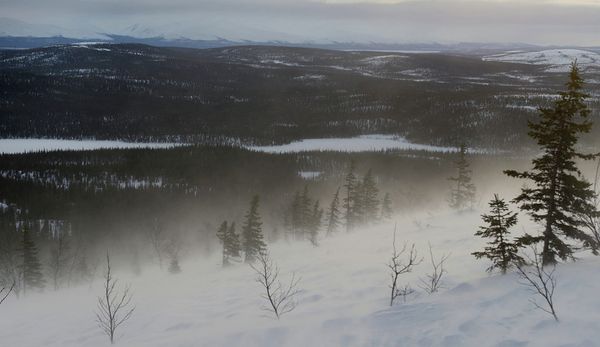 The Magic of Nature: Russia's National Parks in Pictures The Magic of Nature: Russia's National Parks in Pictures - Sputnik International