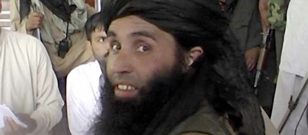 Washington has listed Pakistan Taliban warlord Maulana Fazlullah as a Specially Designated Global Terrorist - Sputnik International